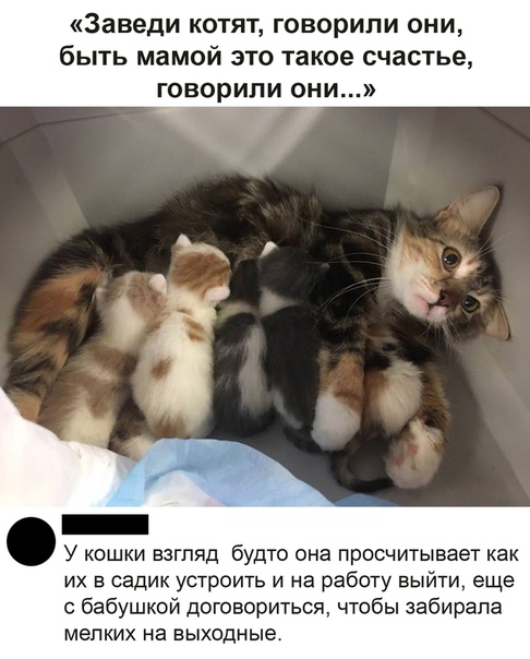 Немного картинок для настроения 24.05.20