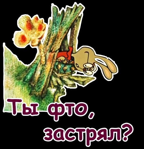 Хитрый байкер хотел проскочить