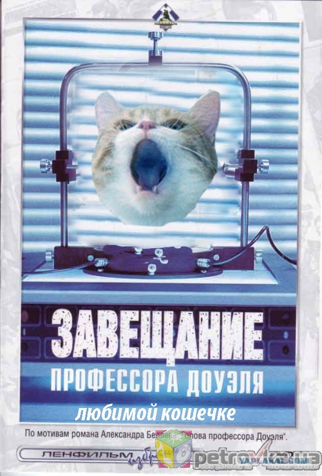Кот певец
