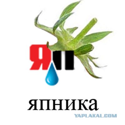 Фотожаба: Лето, фрукты, генетика!