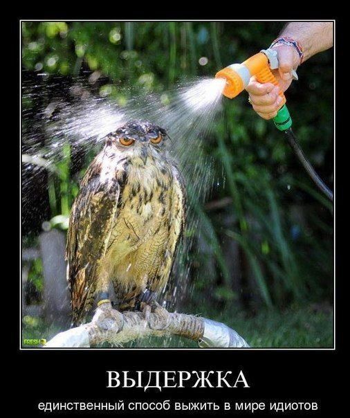 Картинки разные 08.10.2020
