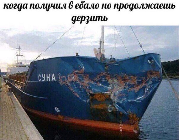 Картинки разнообразные. На злобу дня и на доброту (28.10)