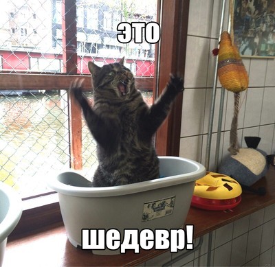 Чёткий, мощный, стремительный ШМЯК!