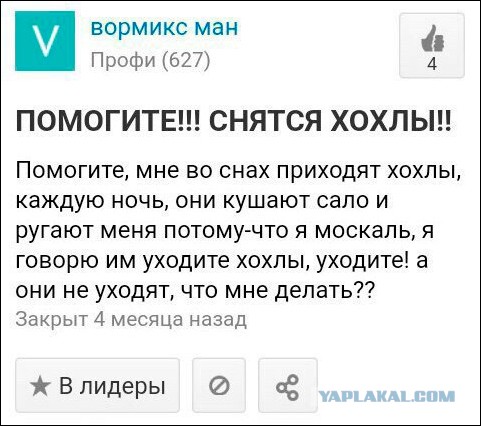 Юмор в картинках 7.11.20