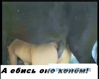 ЯПлакалъ, как вы ругаетесь?