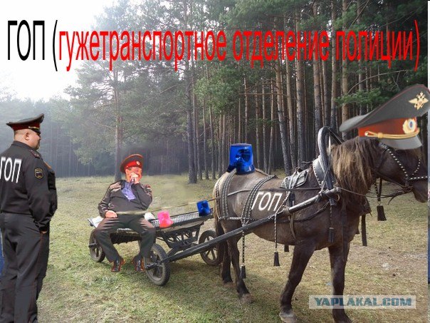 Фотожаба: если б я имел коня...