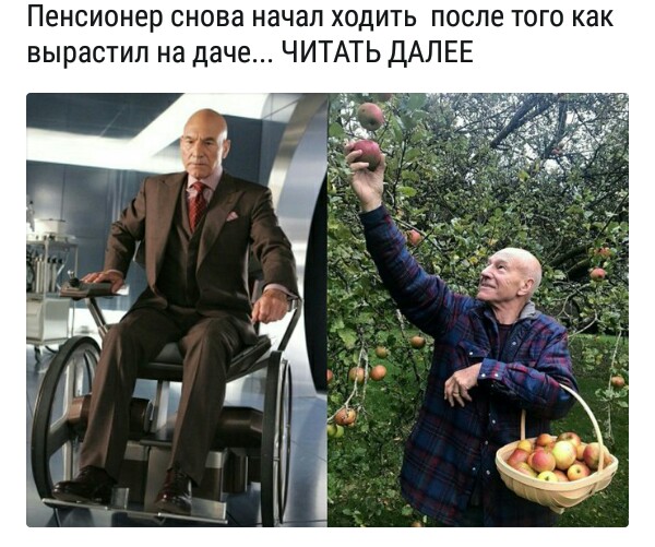 Картинки и мемы для настроения 009