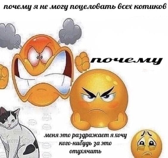 Кретинизмы от KV и KO 28.01.2021
