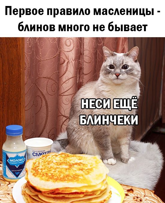 Весёлый полтишок 10.03