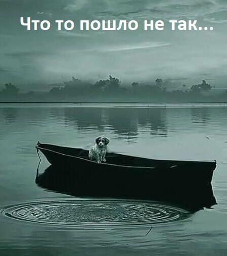 Выборы-дебаты