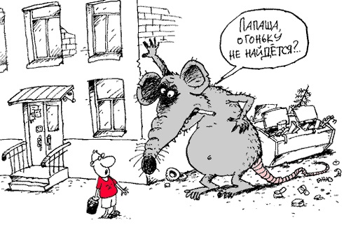 Поймать мыша не удалось