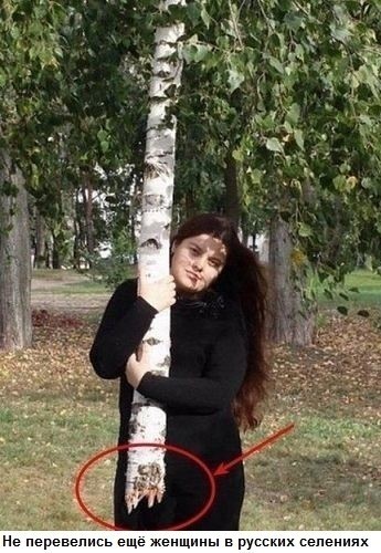 Баяны бабыЯны