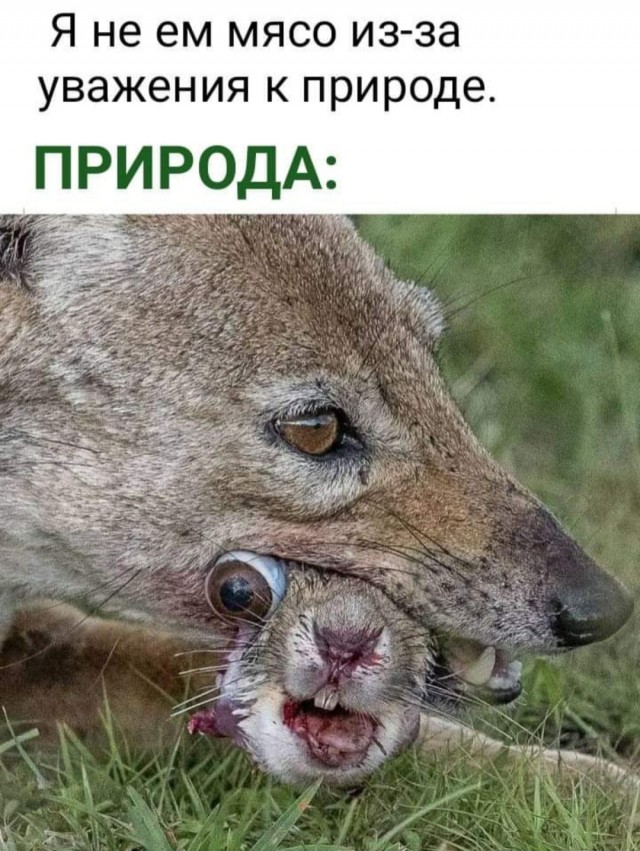 Картинки для тех, кто похмелился