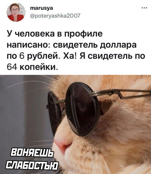 Картинки и мемы для настроения. Выходные близко...