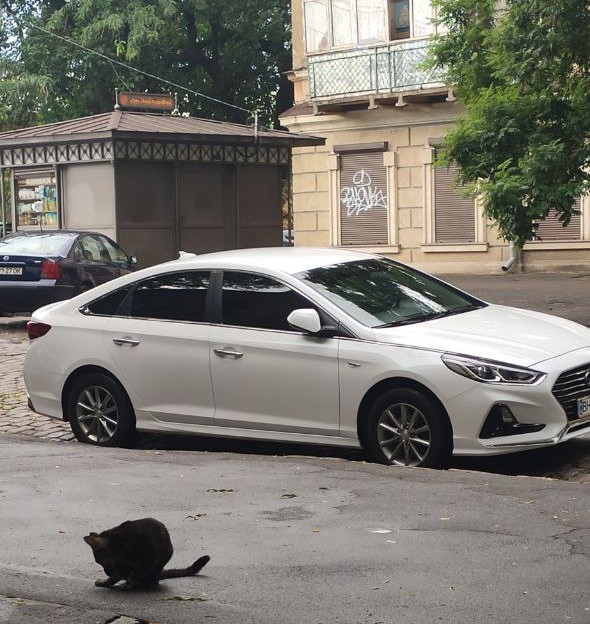 Кто на чем передвигается