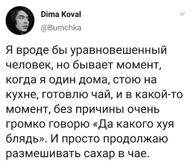 Весёлый полтишок 08.08.22