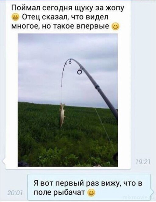 Баянисто-небаянистый юмор 29.08.22