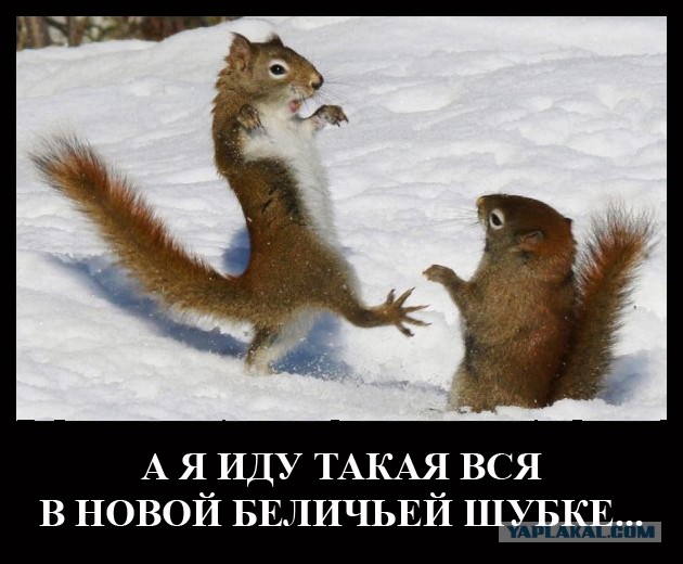 Прикольные и просто красивые картинки 02.12.2022