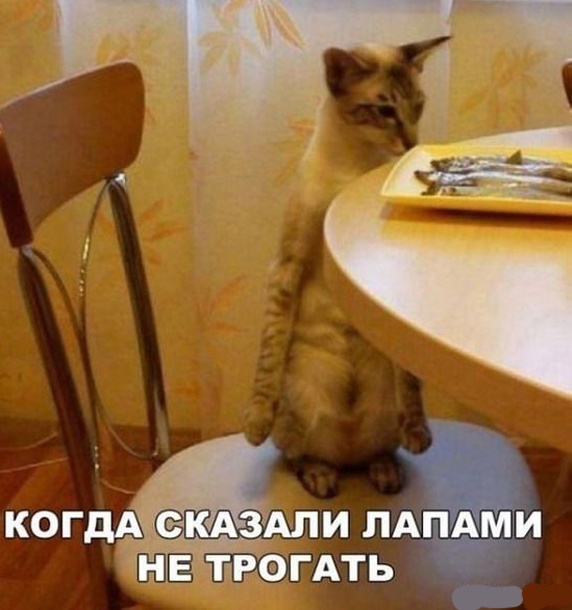 Так себе картинки 15.04.23