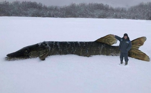 Ибо грядет, коллеги!