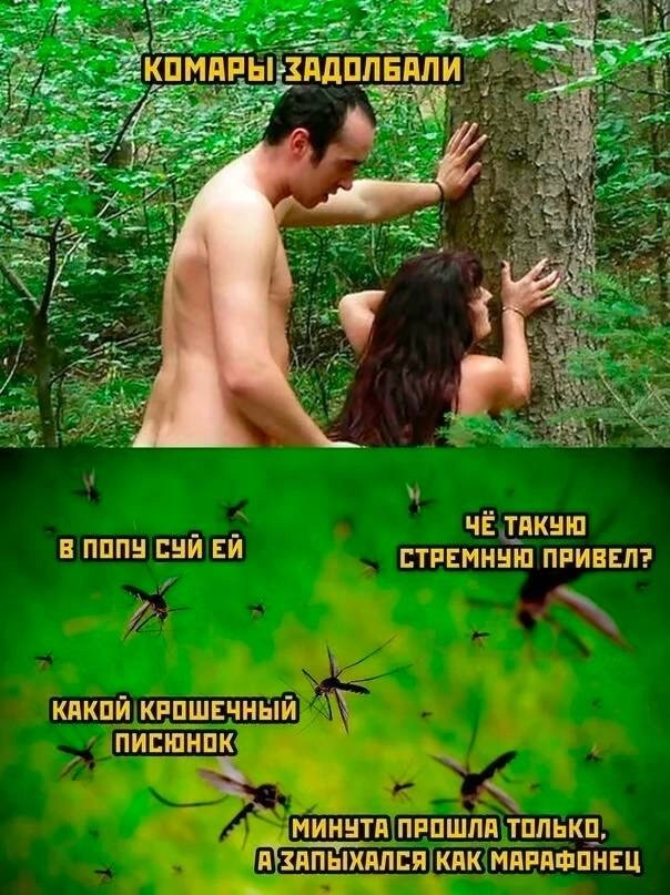Неадекватные