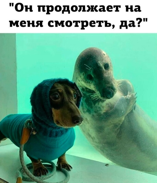 Для настроения картинки и буквы