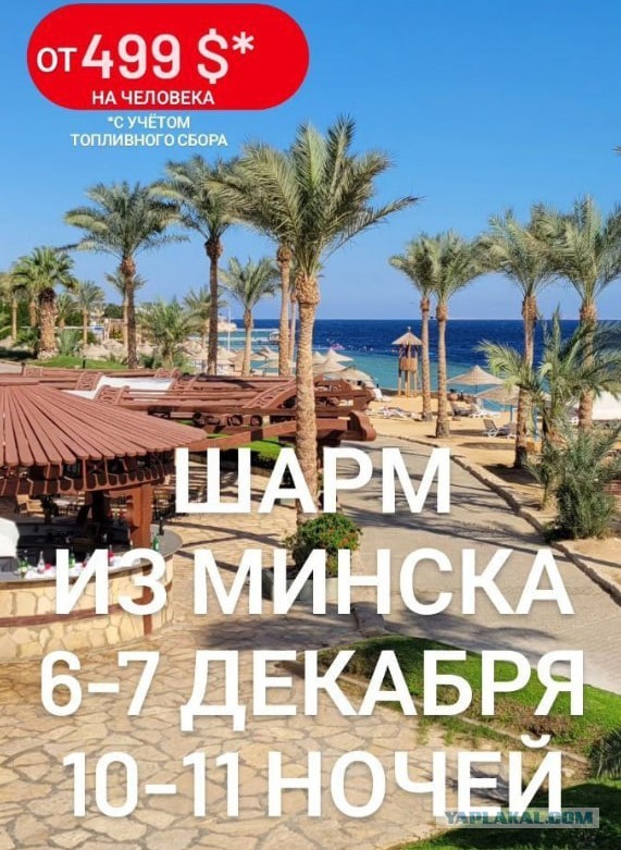 А я когда поеду в Египет?