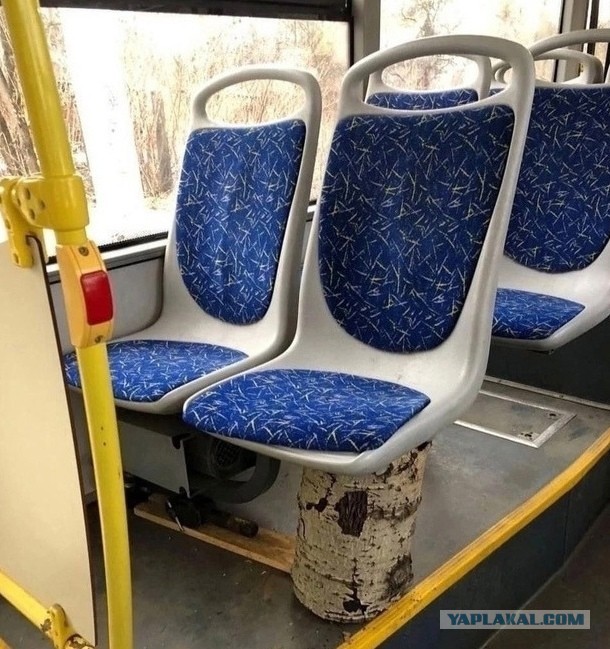 Приключения скамейки в Петербурге