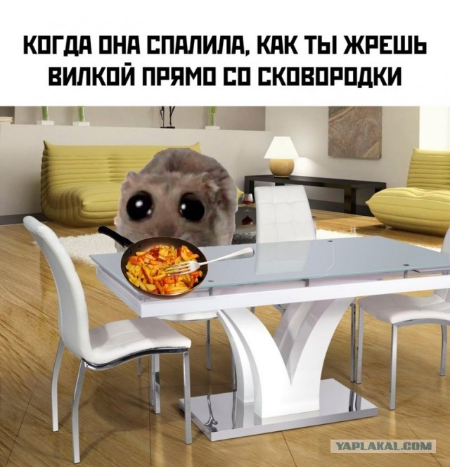 Кретинизмы из KV и KO 10-03-2024