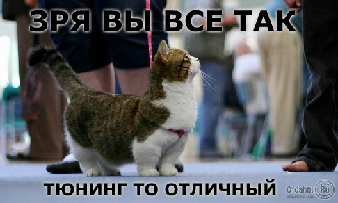 Заниженный таз vs "лежачий полицейский"