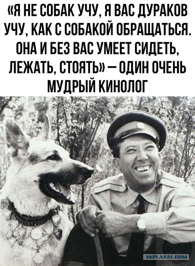 Никаких собак в нашем доме!