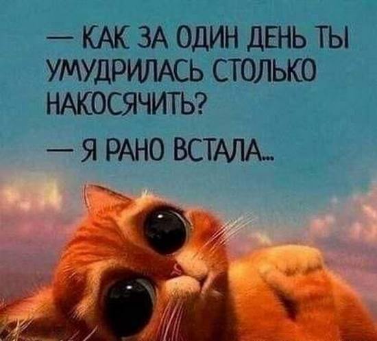 Завалялось тут случайно немного забавных картинок