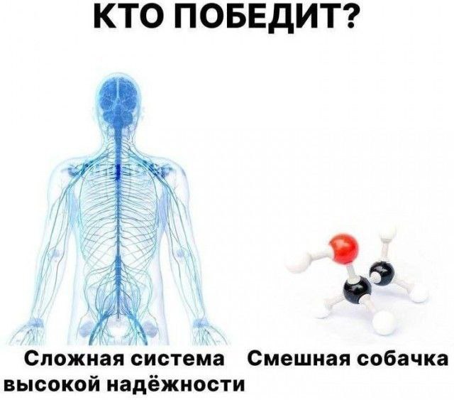Мои избранные картинки, часть 2