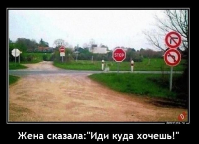 Так себе картинки 14.02.25