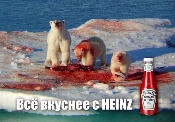 Смешные картинки с надписями