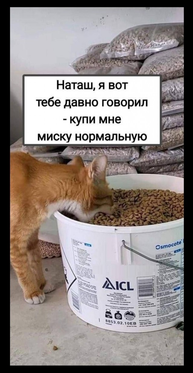 К котовторнику: подборка картинок-баянов с котиками и про котиков. Выпуск 20.