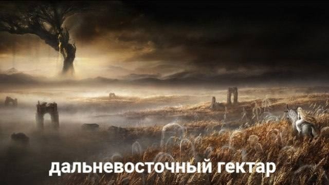 Не ленитесь!