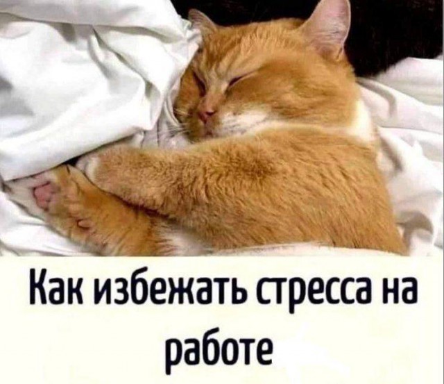 Картинки для деградации 72 (разной степени свежести)