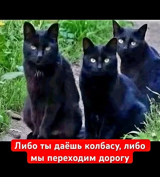 Пятничные бояны