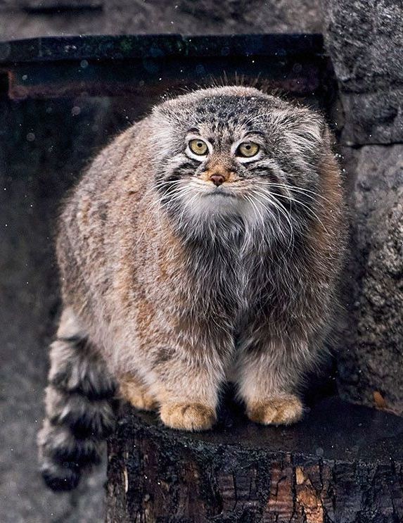 Было тяжело, но я справился и продолжаю
