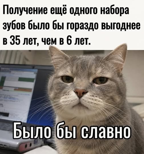Картинки для деградации 232 (разной степени свежести)