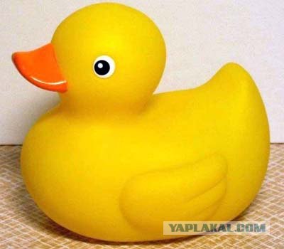 Остановите утиные морды!