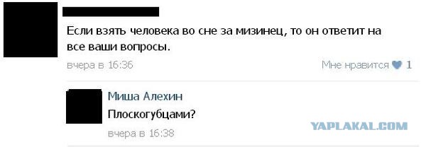 Смешные комментарии из социальных сетей #2