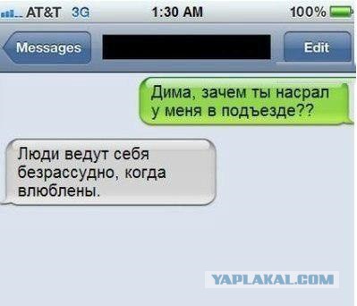 Очередная подборка смешных высказываний