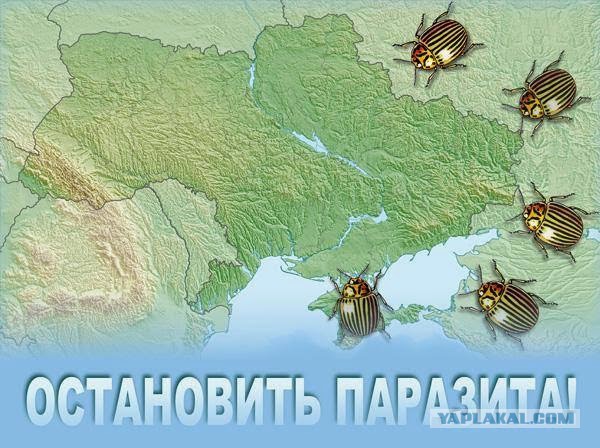 Украинская армия штурмует аэродром в Краматорске!