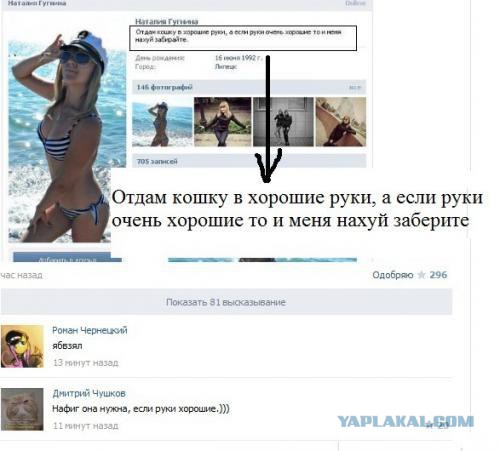 Смешные комментарии из социальных сетей (40 фото)