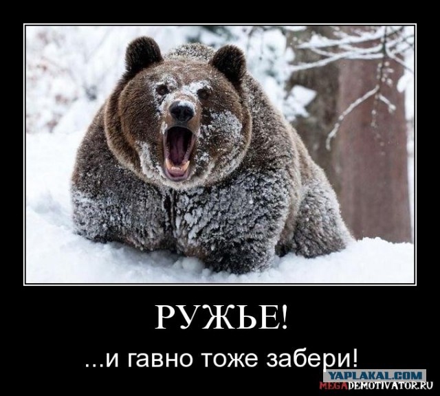 Диванный воин и суровая реальность