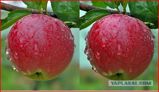 Стерео Картинки / Стереограммы