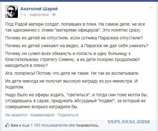 Солдатские матери у рады