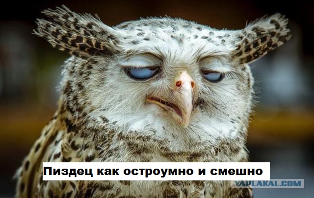 Как удалить аппендикс другу?